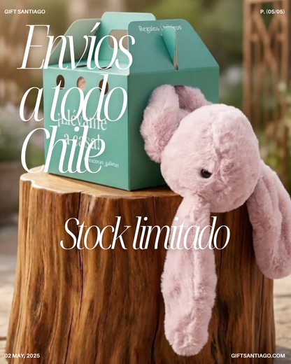 Regalos para niños, Conejo Llévame a casa! personalizado