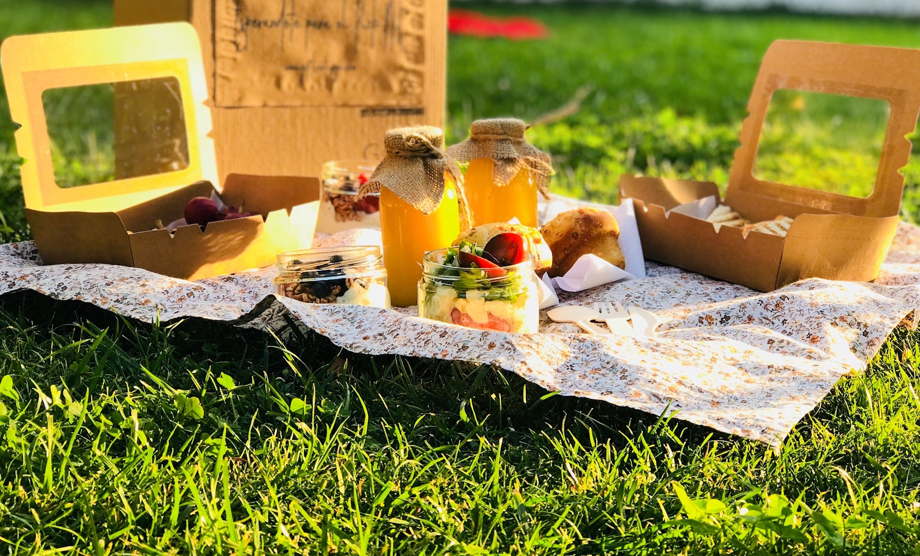Pic nic