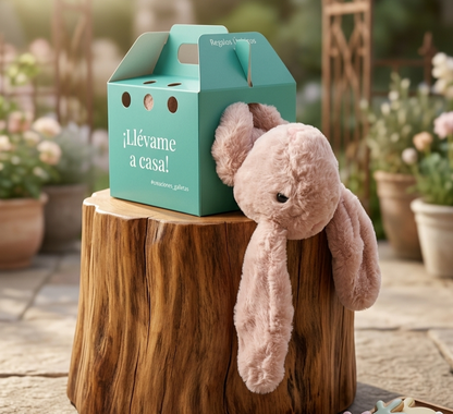 Regalos para niños, Conejo Llévame a casa! personalizado