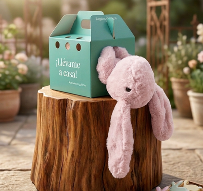 Regalos para niños, Conejo Llévame a casa! personalizado