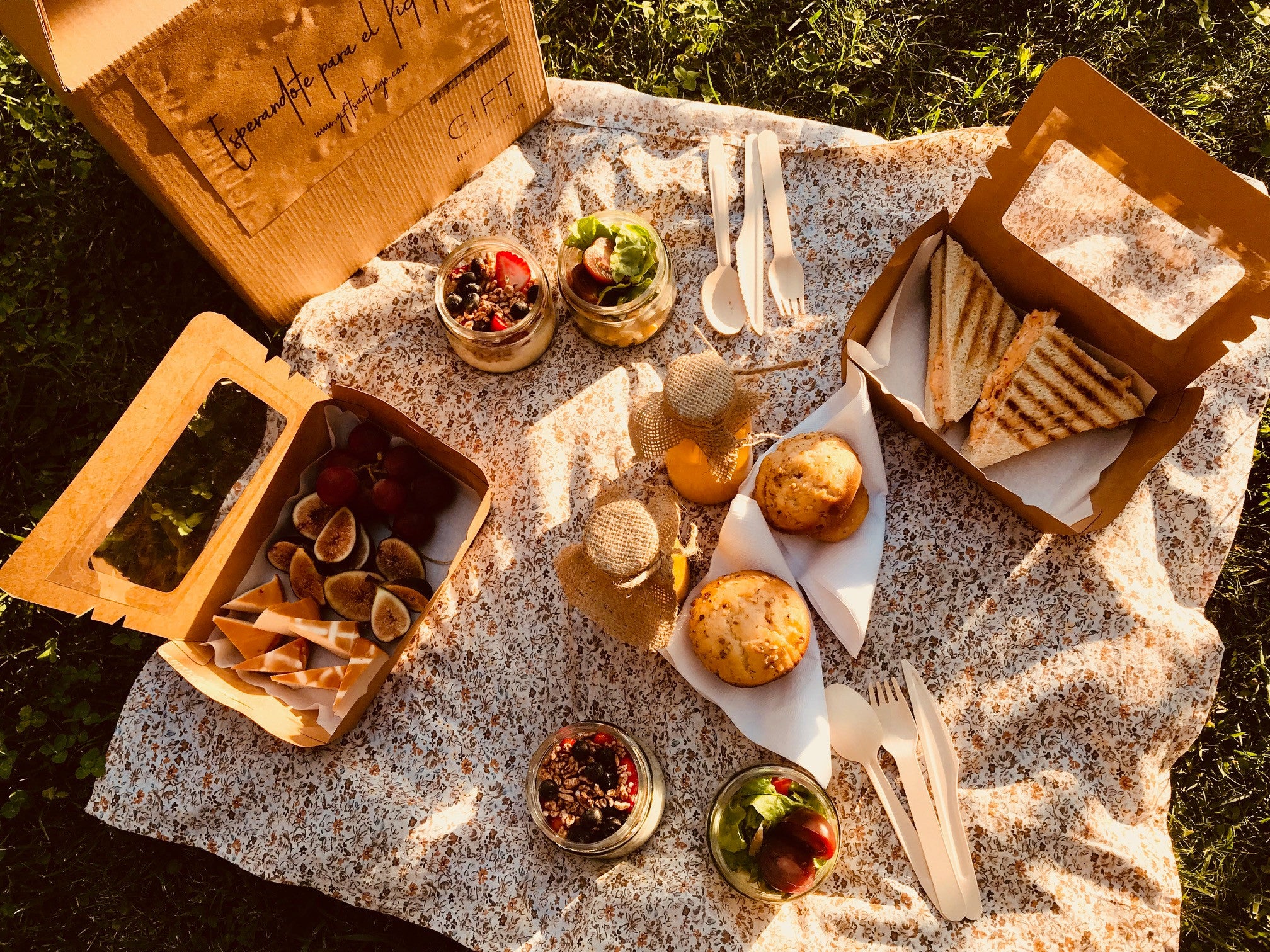 Pic nic